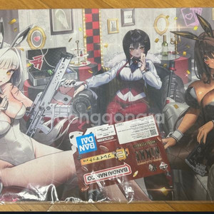 니케 크위님 결제