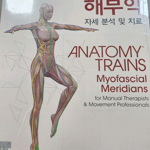 근막경선해부학 근막 경선해부학