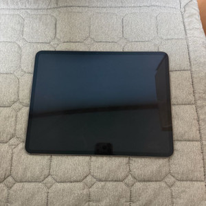 아이패드 프로 13인치 M4 256GB