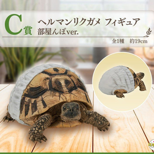 제일복권 파충류 & 양서류 피규어,C상 육지거북