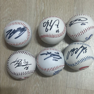 싸인볼 최저가 판매!