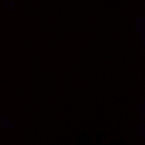 발로란트 아시아 굿즈