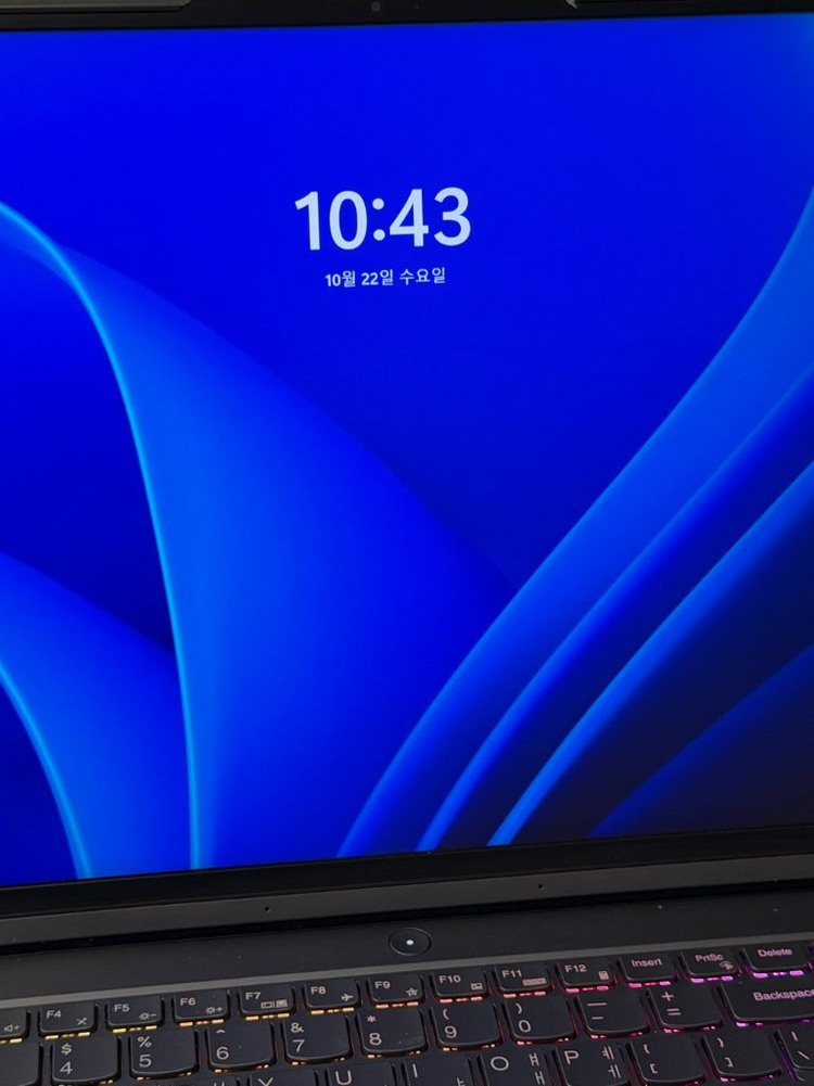 (LEGION 5) 라이젠7 RTX3060 게이밍 노트북 이미지