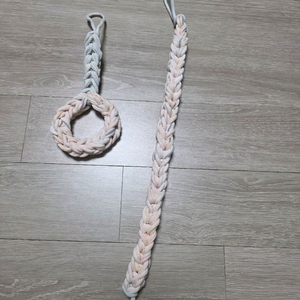 피그미 다람쥐, 크레 양말목 이미지