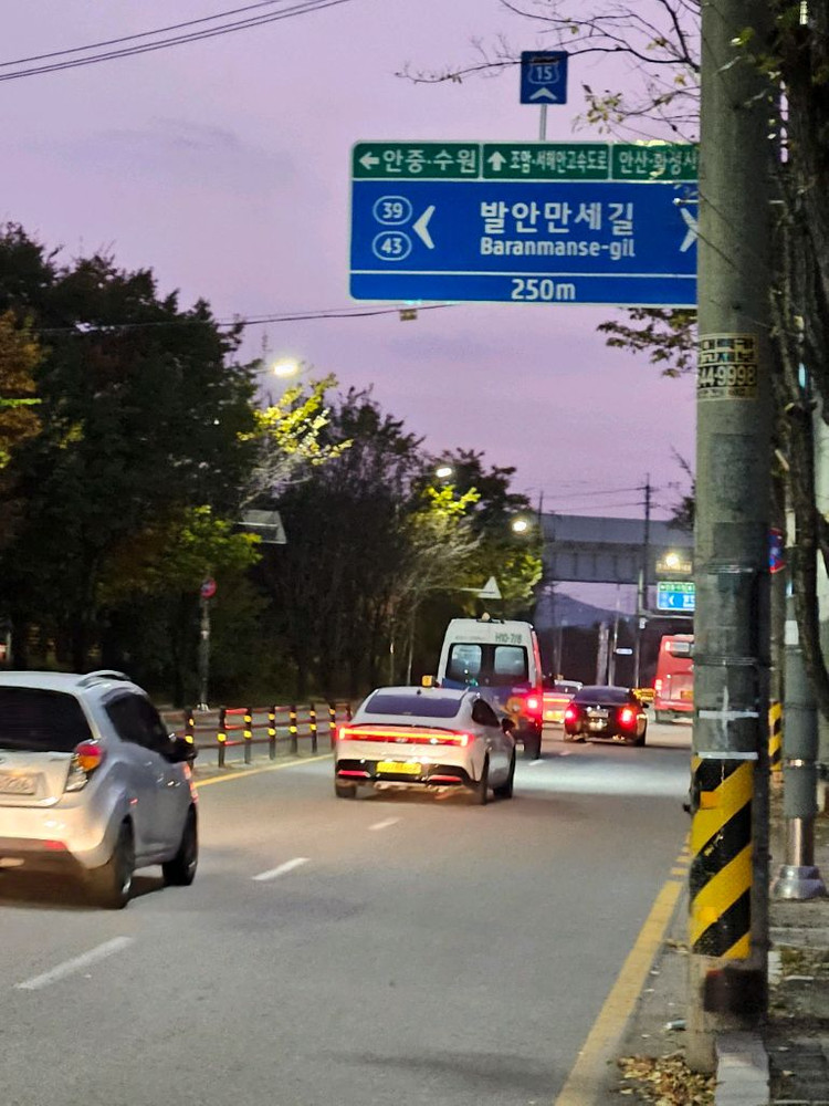 트렉스 등산배낭 40L--1