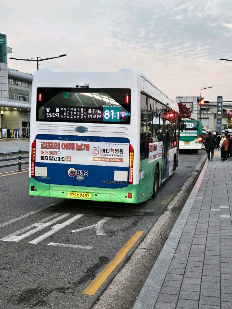 트렉스 등산배낭 40L--2