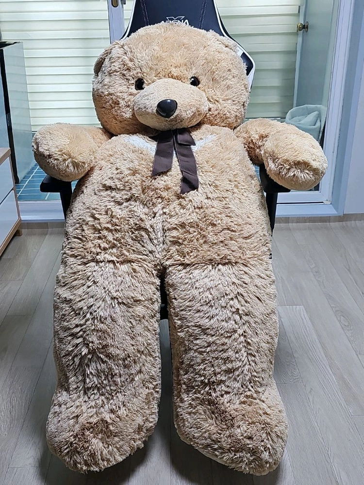 대형 곰돌이 인형 이미지