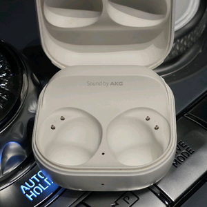 버즈2프로 본체