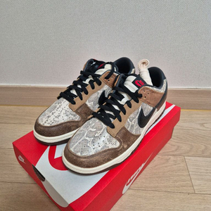 나이키 덩크로우 헤드 투 헤드 270