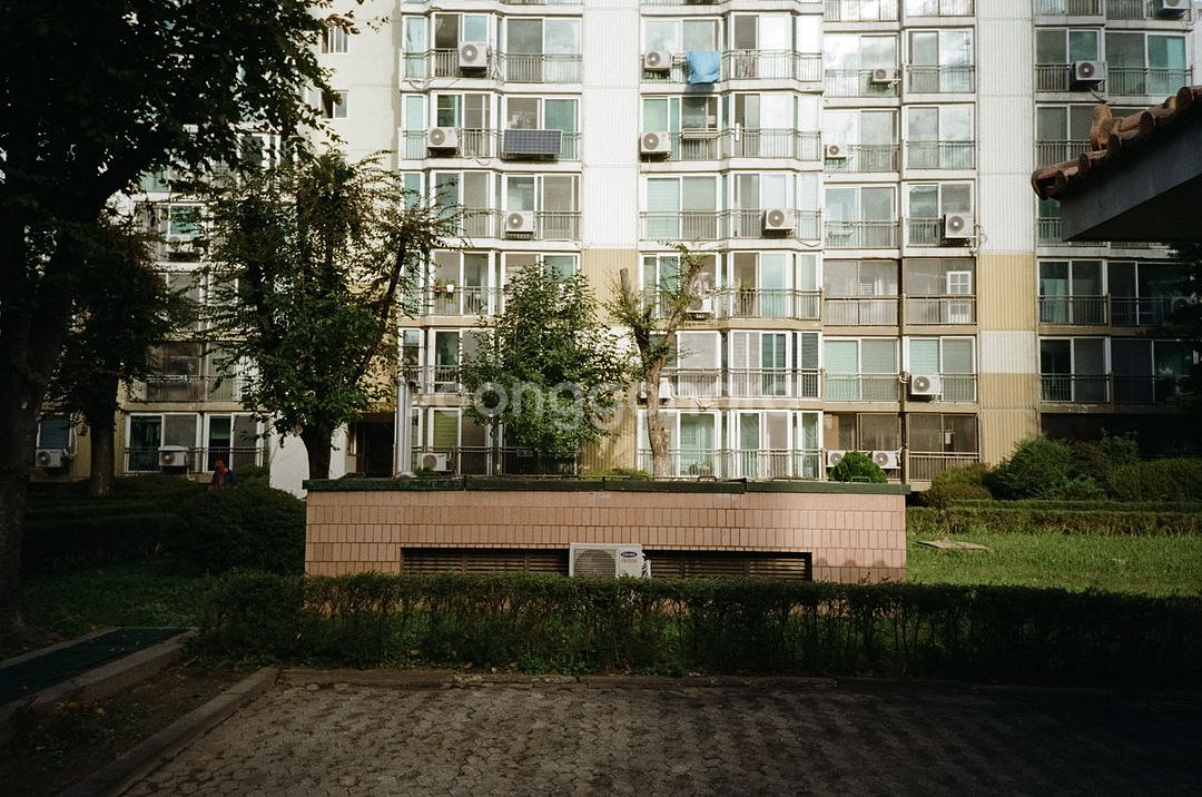 올림푸스 xa4 olympus--8