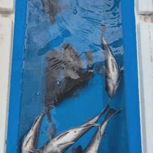 19ft하우스보트 판매 이미지