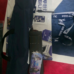 지스타 NC 아이온2 장패드, 의자, 보조배터리 팝니다(쿠폰X)