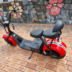 필립스 할리2인승 전동 스쿠터