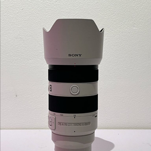 소니 e마운트 24-105G / 70-200G2