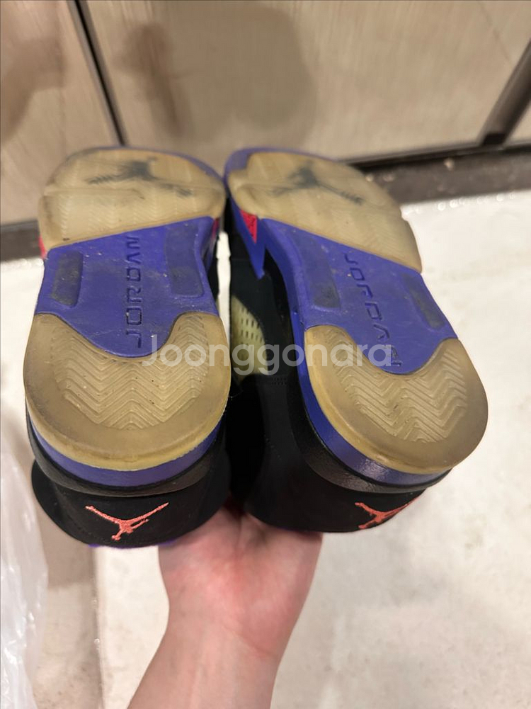 [235] 에어조던 5 레트로 GG 랩터 피어스 퍼플--6