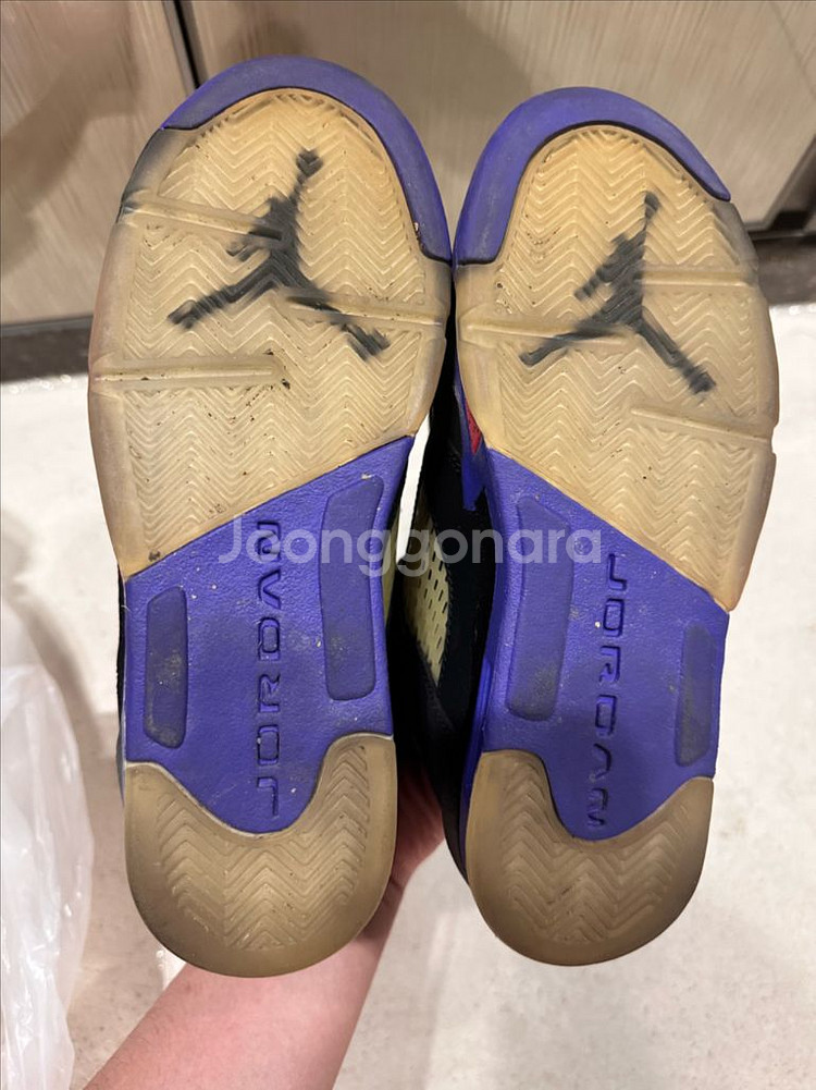 [235] 에어조던 5 레트로 GG 랩터 피어스 퍼플--5