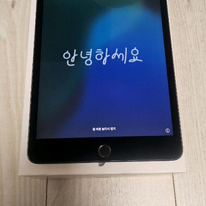 아이패드 미니 5세대 256GB 셀룰러