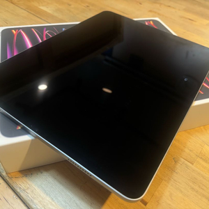 아이패드 프로 12.9형 6세대 Wi-Fi 256GB (애플케어) + 애플펜슬