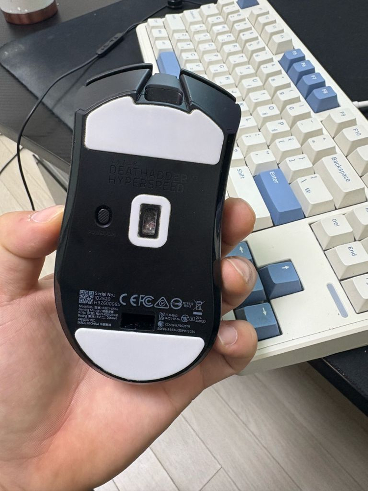 데브삼하스 마우스 이미지