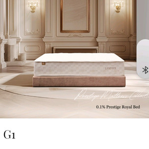 렉스필매트리스 G1ss 홀인원 새상품 이미지