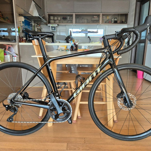 24년 자이언트 TCR 어드밴스2 디스크