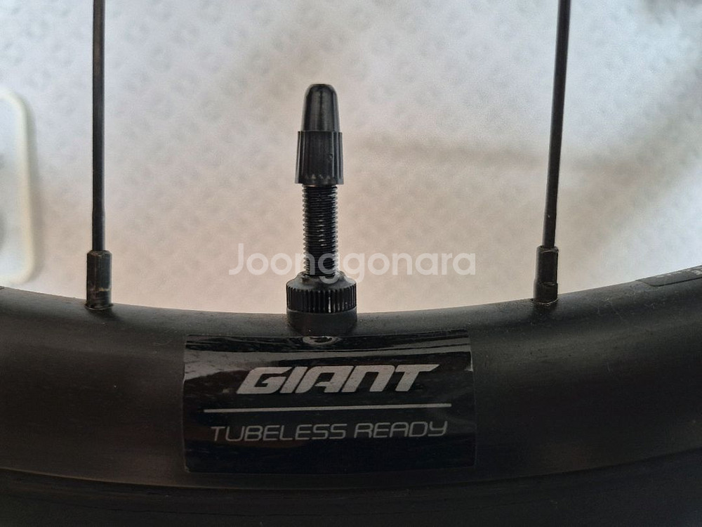 24년 자이언트 TCR 어드밴스2 디스크--6