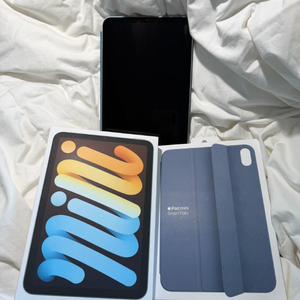 9월구매 아이패드 미니 7세대 셀룰러 256 애캐플