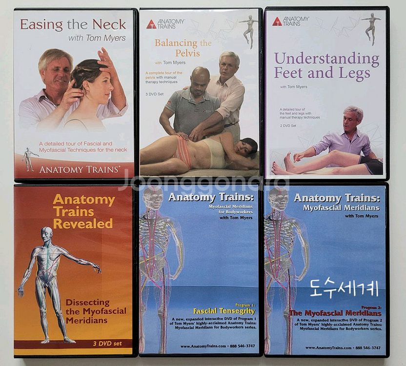 근막경선해부학 도수치료 DVD--2