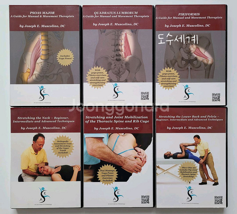 근막경선해부학 도수치료 DVD--5