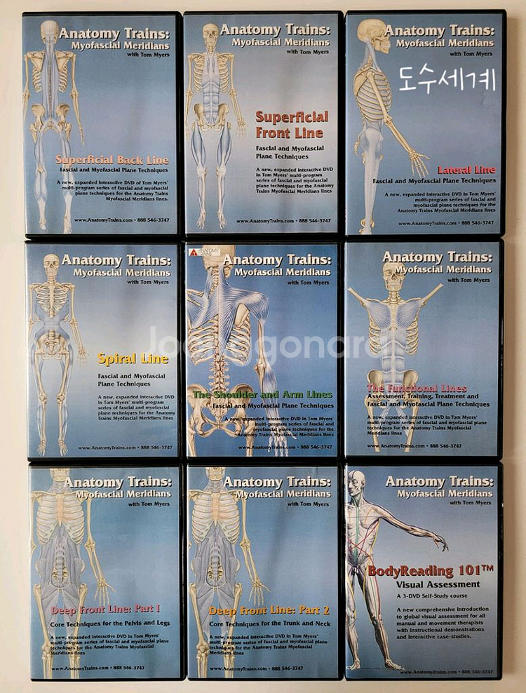 근막경선해부학 도수치료 DVD--6