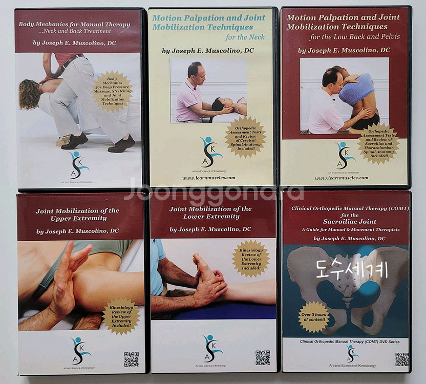 근막경선해부학 도수치료 DVD--4