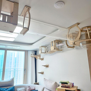 부산))))노블레스캣 캣워커