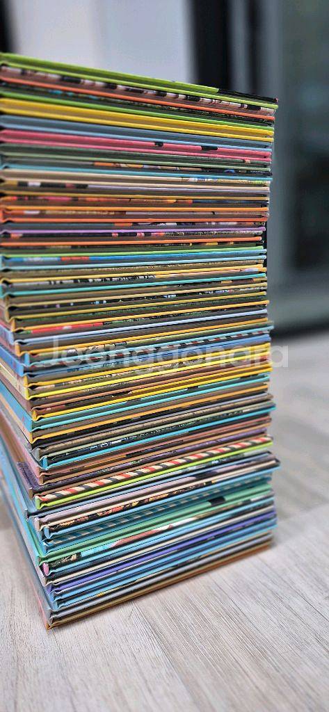 역지사지 세계문화--1