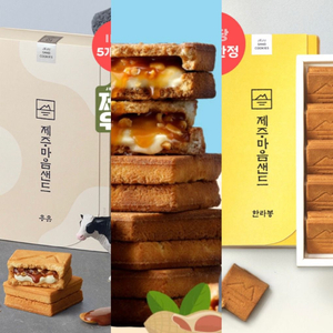 파리바게트 제주 한정 마음샌드 우도땅콩 제주우유 한라봉