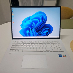 LG그램 노트북 17인치 !5-13세대/램16/SSD512