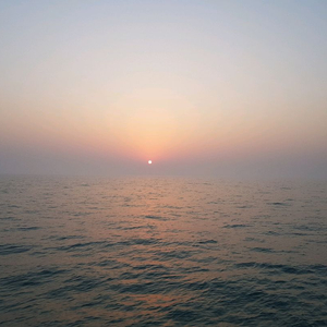 카큐cp판매 1만cp 5,000원판매