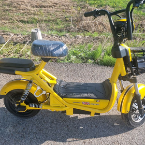 필립스 칠리 전동스쿠터