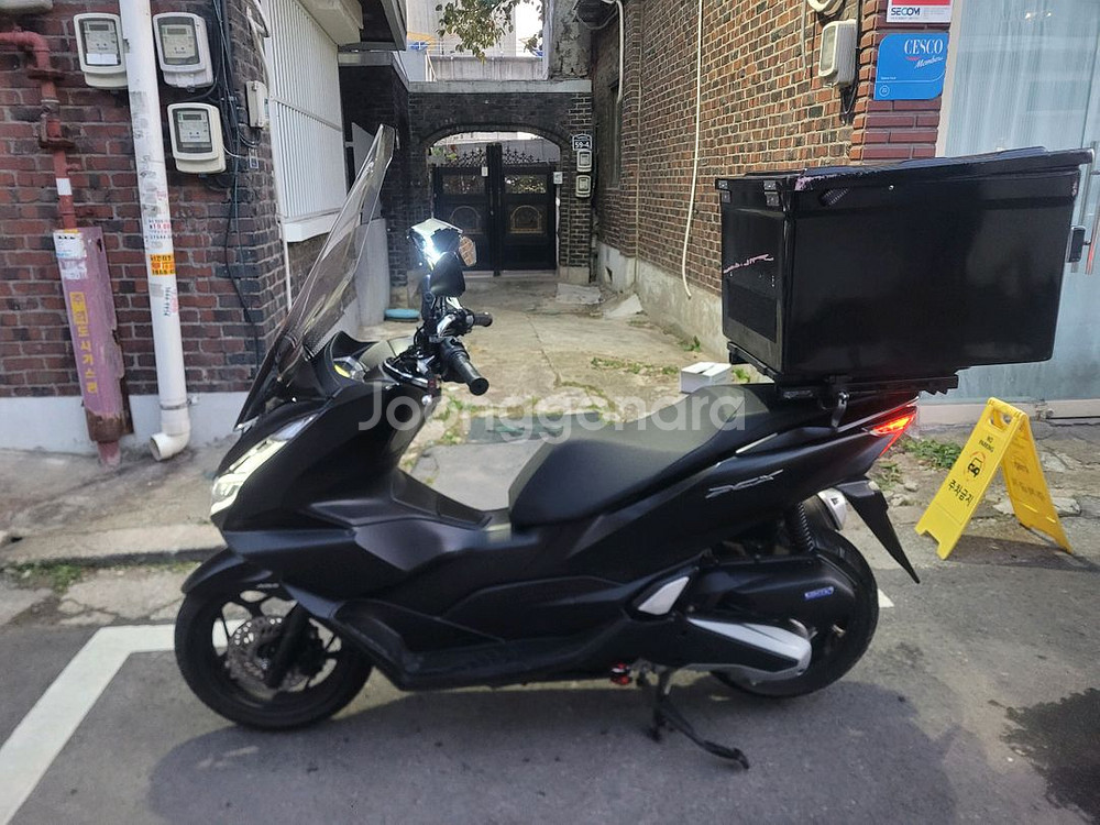 혼다 PCX125 24년식--1