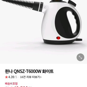 퀸나 스팀다리미 QNSZ-T6000W