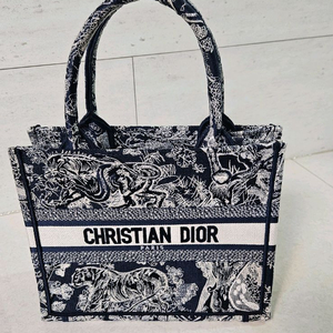 디올 북토트 스몰 패턴백