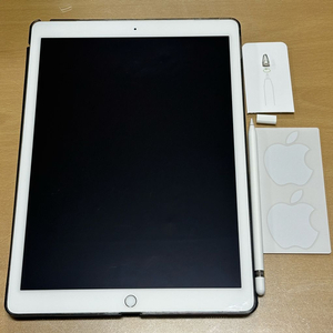 아이패드 프로12.9 셀룰러 128GB + 애플펜슬 1세대