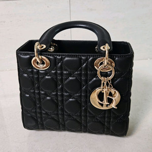 디올 레이디 스몰백