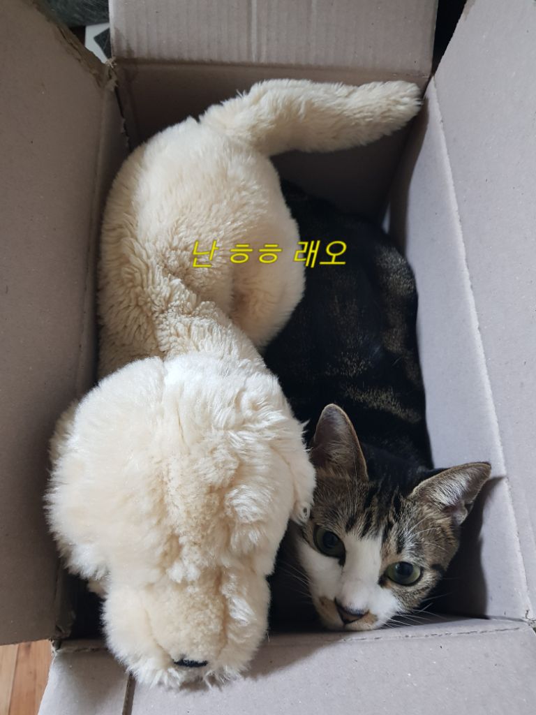 프로필 이미지