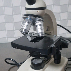 100배율 현미경 dcㄱㄴ 이미지