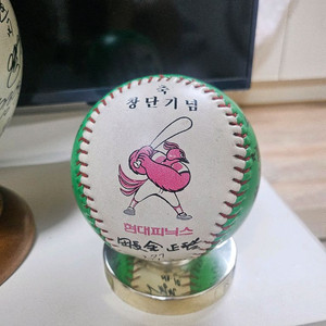 현대피닉스 창단기념 인쇄사인볼 중형구