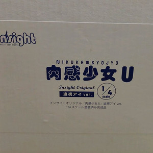 인사이트 오리지널 육감소녀 U 시선추적ver