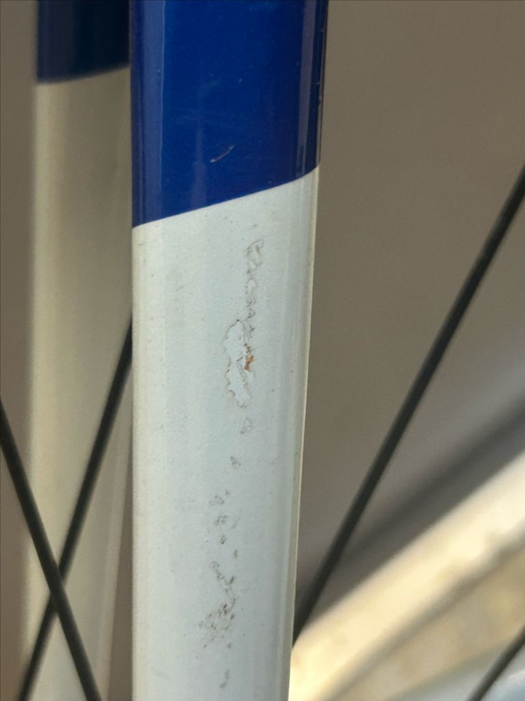 엔진11 크릿디 메탈블루 2024 **판매만** 이미지