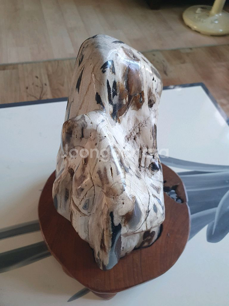 나무 화석 장식품--1