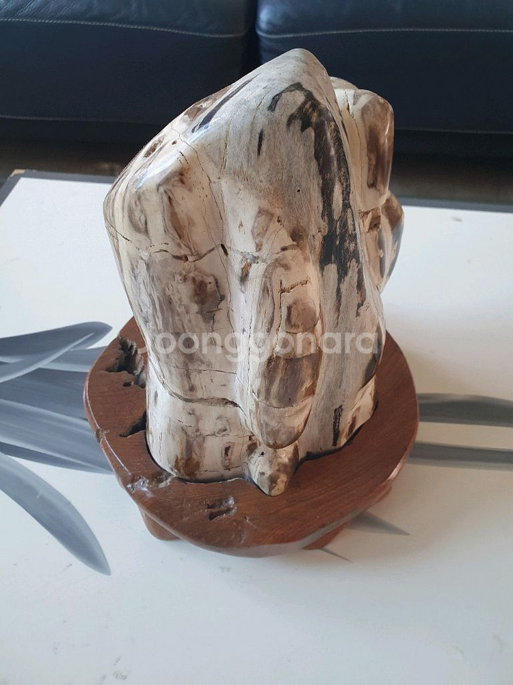 나무 화석 장식품--3