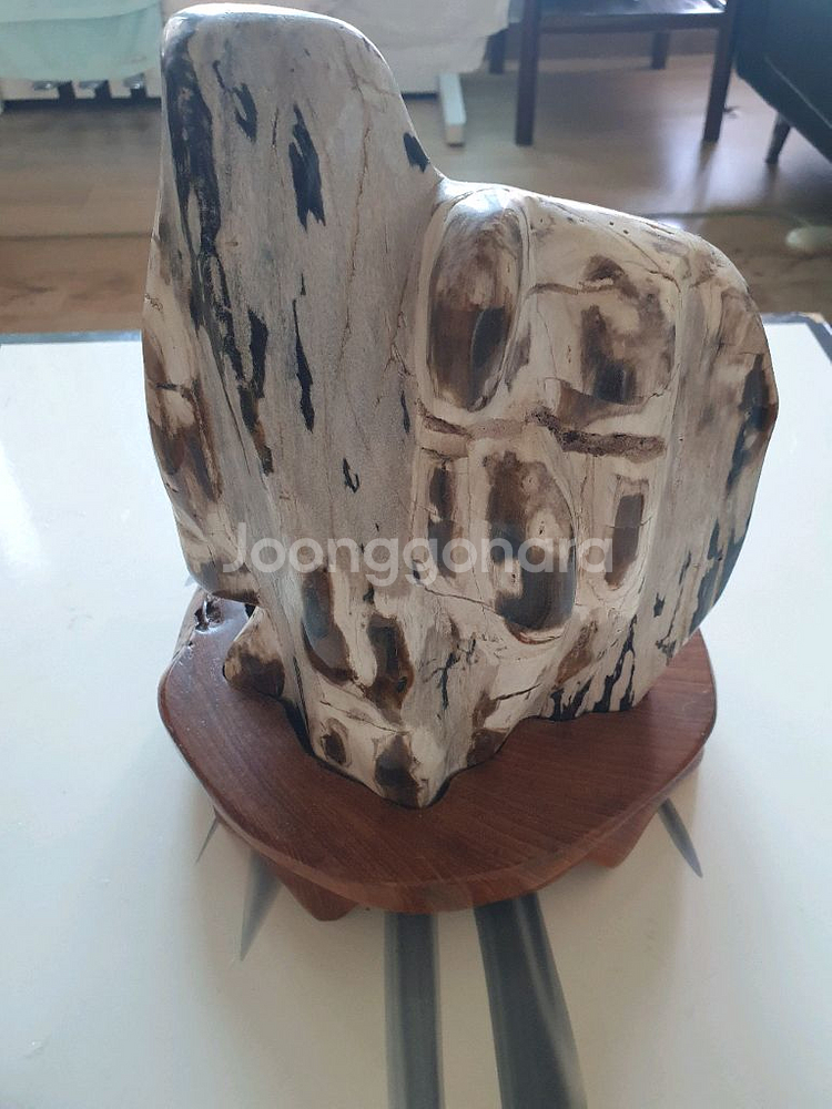 나무 화석 장식품--2